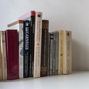 https://vintage-dream-studio-near-the-center-of-brno.brnohotels.org