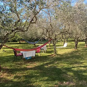https://apartments-gabriela-porec.in-istria.net